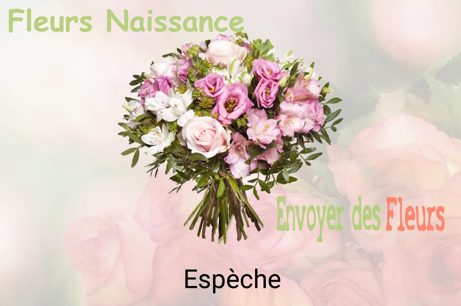 Bouquet de fleurs de naissance livré à Espèche
