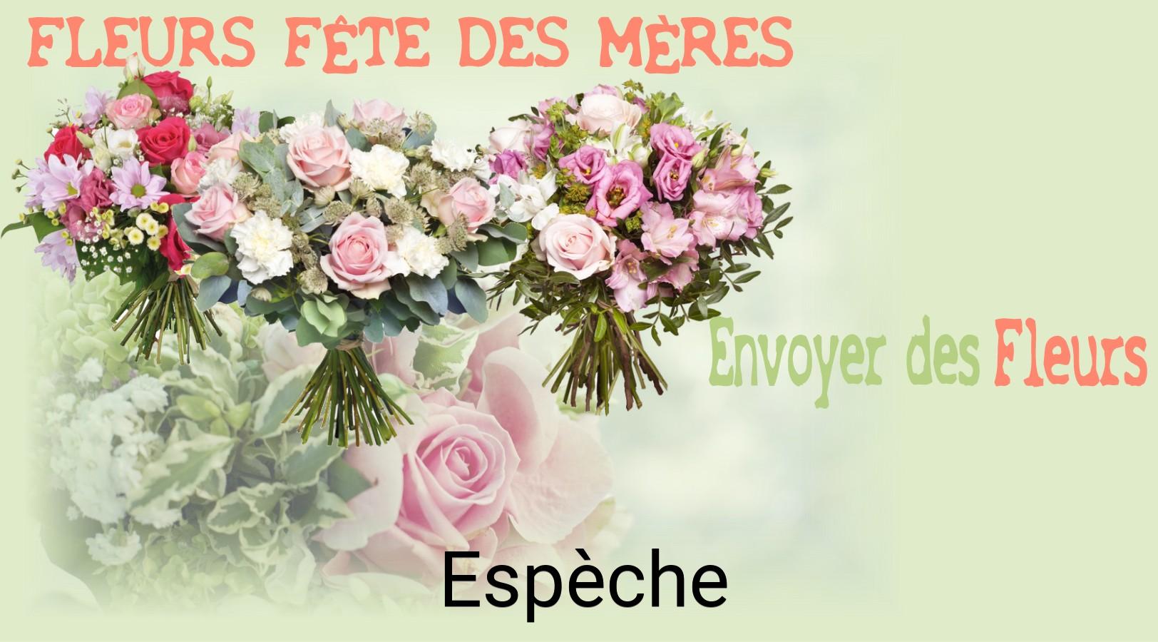 Bouquet de Fête des Mères livré à Espèche